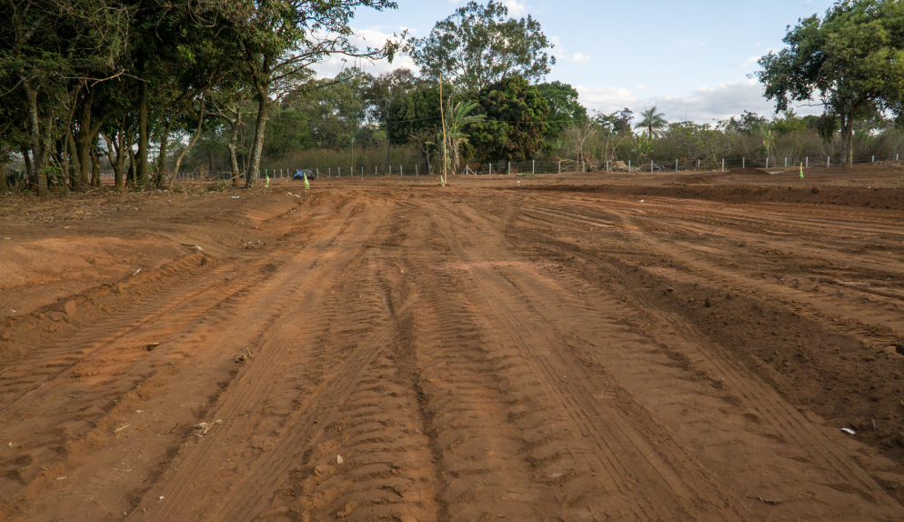 Land Clearing